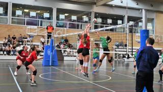 Final Voleibol Veterinaria-Derecho